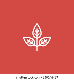 leaf icon. sign design. red background