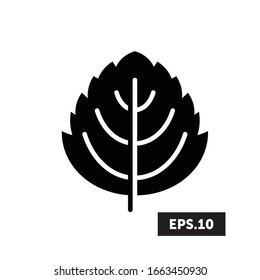 Icono de hoja, símbolo de hoja/vector