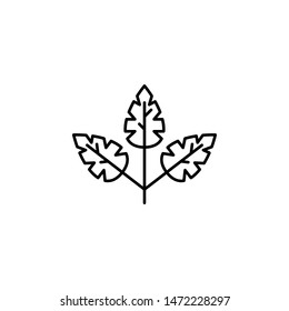 leaf icon. Simple thin line, outline vector of Leaves icons for UI and UX, website or mobile application