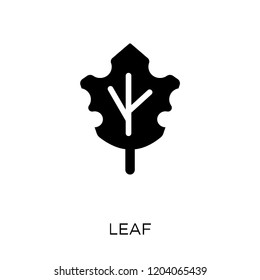 Leaf icon. Leaf symbol design from Ecology collection. Simple element vector illustration on white background.