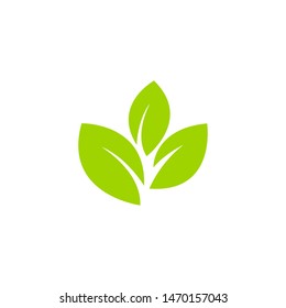 leaf icon symbol design vector