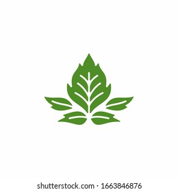 Leaf icon, symbol, and logo, can use for your design elements, website icons, application icons, UI, and More.