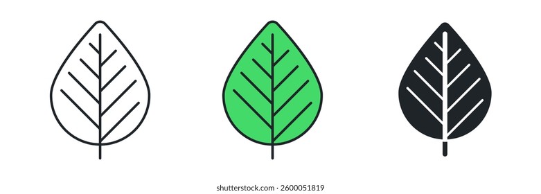 Leaf icon symbol vector illustration isolated on white background