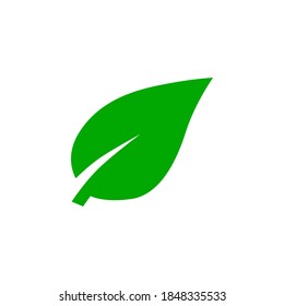 Leaf icon symbol vector on white background