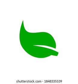 Leaf icon symbol vector on white background