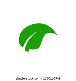 Leaf icon symbol vector on white background