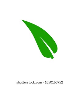 Leaf icon symbol vector on white background