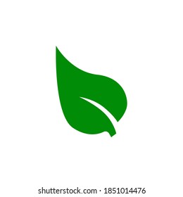 Leaf icon symbol vector on white background