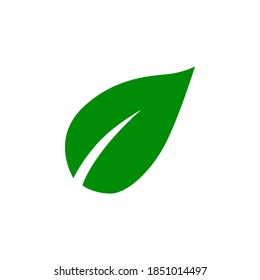 Leaf icon symbol vector on white background