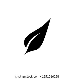 Leaf icon symbol vector on white background