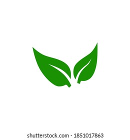 Símbolo de icono de hoja vector sobre fondo blanco