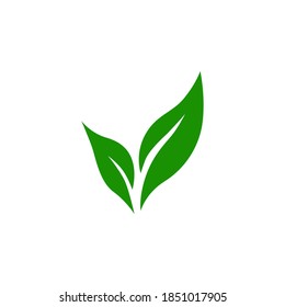 Leaf icon symbol vector on white background