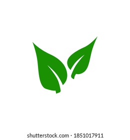 Símbolo de icono de hoja vector sobre fondo blanco