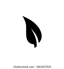 Leaf icon symbol vector on white background