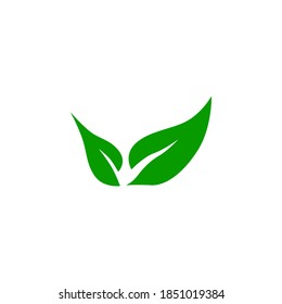 Símbolo de icono de hoja vector sobre fondo blanco