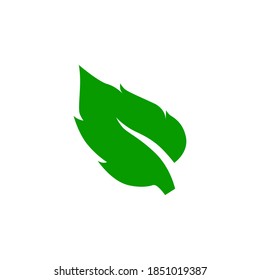 Leaf icon symbol vector on white background