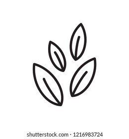 leaf icon in trendy flat design 
