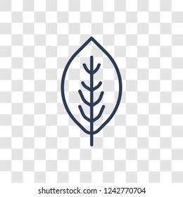 leaf icon. Trendy linear leaf logo concept on transparent background from leaf collection