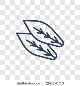 leaf icon. Trendy linear leaf logo concept on transparent background from leaf collection