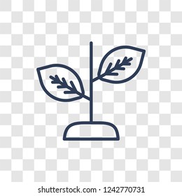 leaf icon. Trendy linear leaf logo concept on transparent background from leaf collection