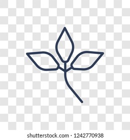 leaf icon. Trendy linear leaf logo concept on transparent background from leaf collection