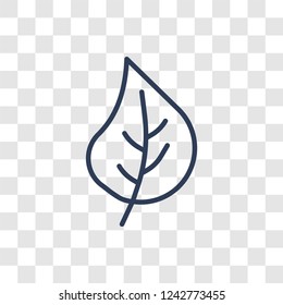 leaf icon. Trendy linear leaf logo concept on transparent background from leaf collection