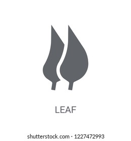 leaf icon. Trendy leaf logo concept on white background from leaves collection. Suitable for use on web apps, mobile apps and print media.