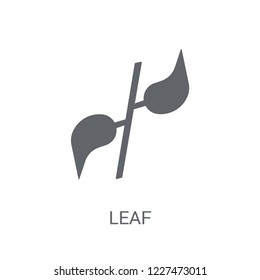 leaf icon. Trendy leaf logo concept on white background from leaves collection. Suitable for use on web apps, mobile apps and print media.