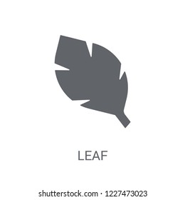 leaf icon. Trendy leaf logo concept on white background from leaves collection. Suitable for use on web apps, mobile apps and print media.