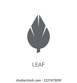 leaf icon. Trendy leaf logo concept on white background from leaves collection. Suitable for use on web apps, mobile apps and print media.