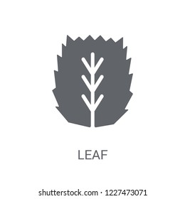 leaf icon. Trendy leaf logo concept on white background from leaves collection. Suitable for use on web apps, mobile apps and print media.
