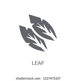 leaf icon. Trendy leaf logo concept on white background from leaves collection. Suitable for use on web apps, mobile apps and print media.