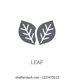 leaf icon. Trendy leaf logo concept on white background from leaves collection. Suitable for use on web apps, mobile apps and print media.