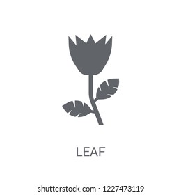 leaf icon. Trendy leaf logo concept on white background from leaves collection. Suitable for use on web apps, mobile apps and print media.