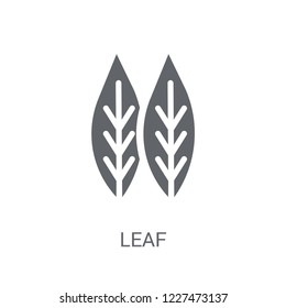 leaf icon. Trendy leaf logo concept on white background from leaves collection. Suitable for use on web apps, mobile apps and print media.