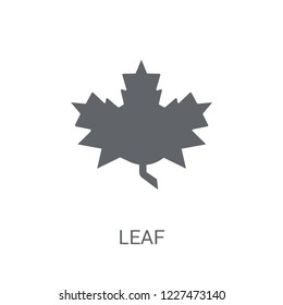 leaf icon. Trendy leaf logo concept on white background from leaves collection. Suitable for use on web apps, mobile apps and print media.
