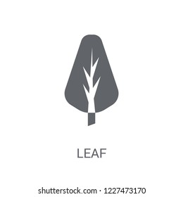 leaf icon. Trendy leaf logo concept on white background from leaves collection. Suitable for use on web apps, mobile apps and print media.