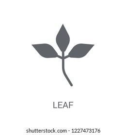 leaf icon. Trendy leaf logo concept on white background from leaves collection. Suitable for use on web apps, mobile apps and print media.