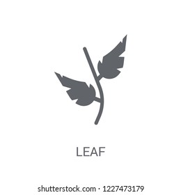 leaf icon. Trendy leaf logo concept on white background from leaves collection. Suitable for use on web apps, mobile apps and print media.