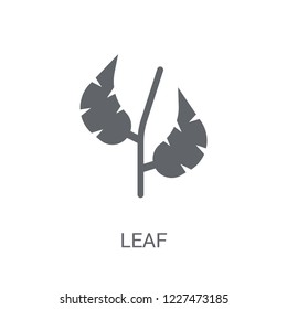 leaf icon. Trendy leaf logo concept on white background from leaves collection. Suitable for use on web apps, mobile apps and print media.