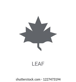 leaf icon. Trendy leaf logo concept on white background from leaves collection. Suitable for use on web apps, mobile apps and print media.