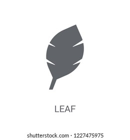 leaf icon. Trendy leaf logo concept on white background from leaves collection. Suitable for use on web apps, mobile apps and print media.