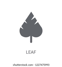 leaf icon. Trendy leaf logo concept on white background from leaves collection. Suitable for use on web apps, mobile apps and print media.