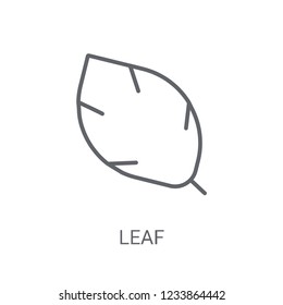 leaf icon. Trendy leaf logo concept on white background from leaf collection. Suitable for use on web apps, mobile apps and print media.