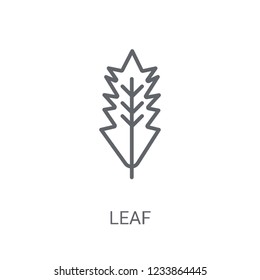 leaf icon. Trendy leaf logo concept on white background from leaf collection. Suitable for use on web apps, mobile apps and print media.
