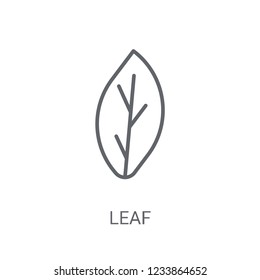 leaf icon. Trendy leaf logo concept on white background from leaf collection. Suitable for use on web apps, mobile apps and print media.
