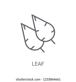 leaf icon. Trendy leaf logo concept on white background from leaf collection. Suitable for use on web apps, mobile apps and print media.