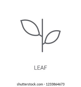leaf icon. Trendy leaf logo concept on white background from leaf collection. Suitable for use on web apps, mobile apps and print media.