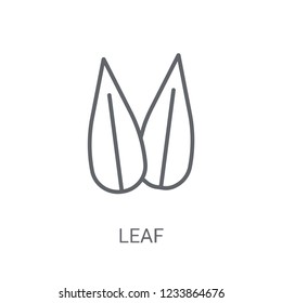 leaf icon. Trendy leaf logo concept on white background from leaf collection. Suitable for use on web apps, mobile apps and print media.