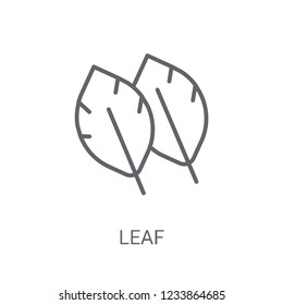 leaf icon. Trendy leaf logo concept on white background from leaf collection. Suitable for use on web apps, mobile apps and print media.